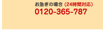 }̏ꍇ (24ԑΉ)0120-365-787