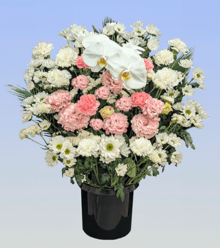 洋花（ピンク）