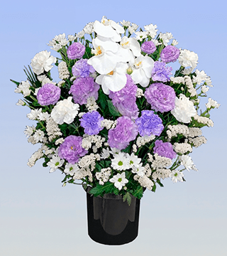 洋花（紫）